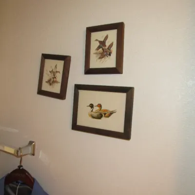 Sale Photo Thumbnail #111