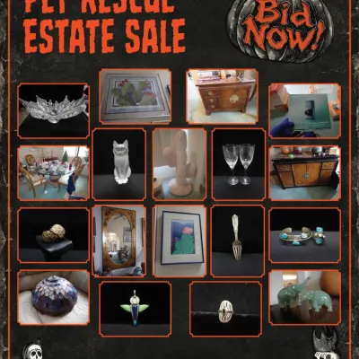 Sale Photo Thumbnail #51