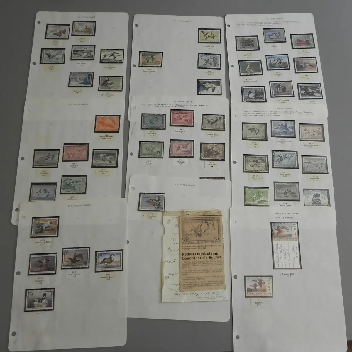 Migratory Birds Hunting Stamps (Duck Stamp Act)