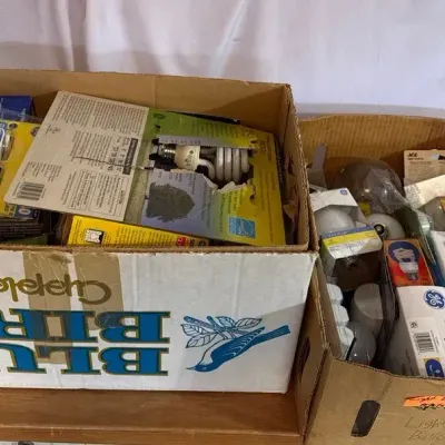 Mystery Lot of Lightbulbs