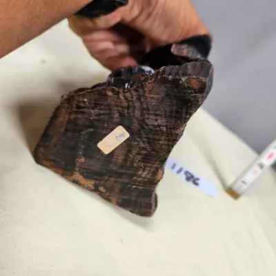 Sale Photo Thumbnail #593