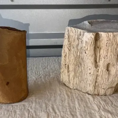 Petrified Wood W/ Quartz Center, And Other Stone 