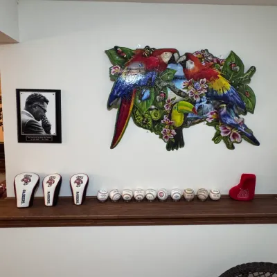 Collection of sports memorabilia including Wisconsin Badgers golf club headcovers, a row of collectible baseballs, a framed Vince...