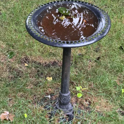 Vintage cast iron bird bath with a decorative openwork rim and an ornate pedestal base, showing a weathered dark finish.