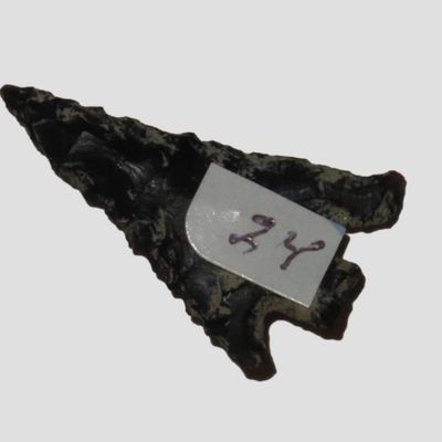 1 1/16" Columbia Plateau Point, Whitman Co., Washington