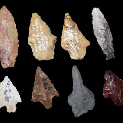 Lot of Bird Points and Drill, Petrified Wood and Agate, Whitman Co., Washington
