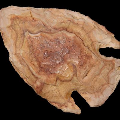 2 1/4" Lost Lake, Local Chert, Clay Co., Arkansas