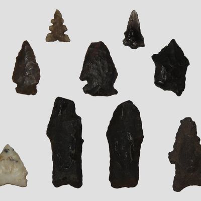 Lot of Miscellaneous Bird Points, New Mexico, Including Cold Springs, Hendricks, and Rose Spring Points