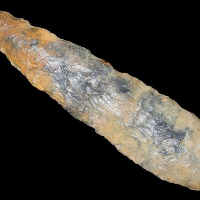 4 1/2" x 1 1/16" Adena Blade, Motley & Leithoff COA, Pike Co., Illinois