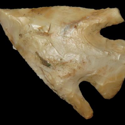 1 3/4" Base Notch Point, Local Chert, Butler Co., Missouri