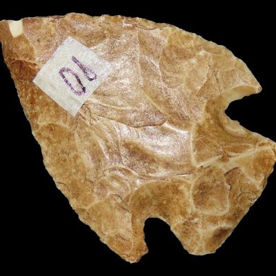 1 9/16" Corner Notch, Tan Chert, Clay Co., Arkansas, One Side Creek Stained