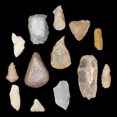 Lot of Scrapers and Tools, Various Cherts and Petrified Wood, New Mexico, Great Study Pieces