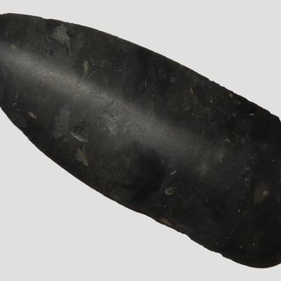 4 3/8" Polished Piece, Totally Polished, Ohio