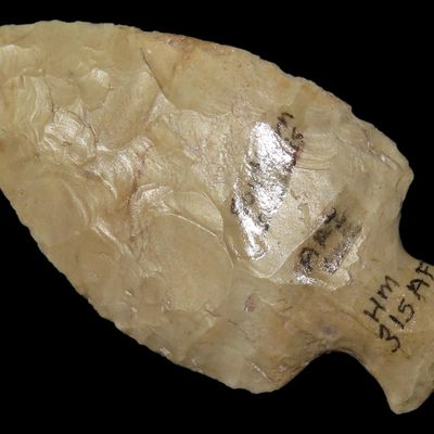 2 5/8" x 1 3/8" Table Rock, American Antiquities COA, Southern Illinois