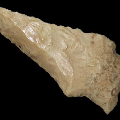 2 7/8" Hardin, Pettis Co., Missouri