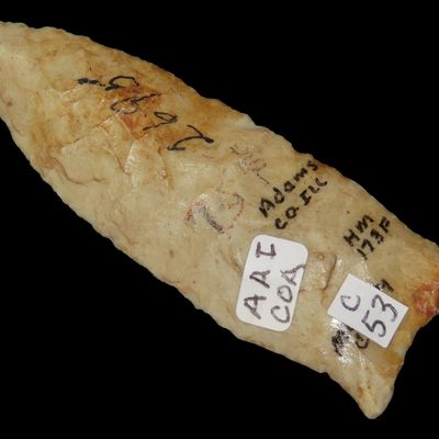 3 3/16" Dalton, American Antiquities COA, Fulton Co., Illinois