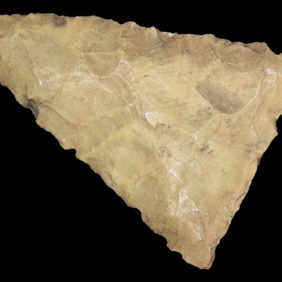 1 1/4" Triangular Bird Point, Henderson Co., Kentucky, Ex. Rocky Hall