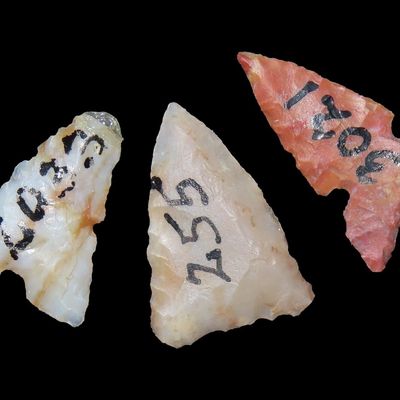 Lot of Fresno and Bird Points, J.J. Currie Ranch, Randall Co., Texas, Palo Duro Canyon, Thomas Draw at Big Falls Sites
