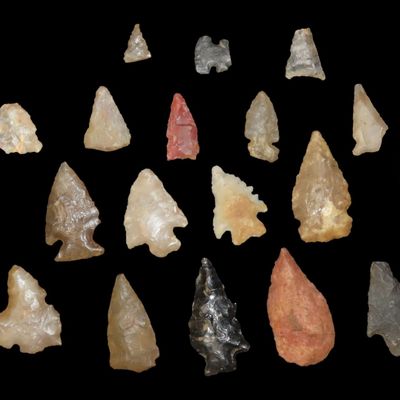 Lot of Miscellaneous Bird Points, New Mexico, Including Cold Springs, Hendricks, and Rose Spring Points