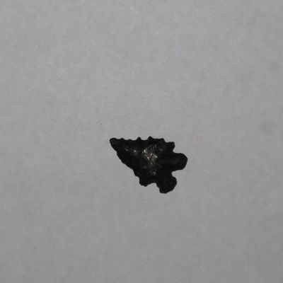 3/4" Albion-Head Side Notch, New Mexico