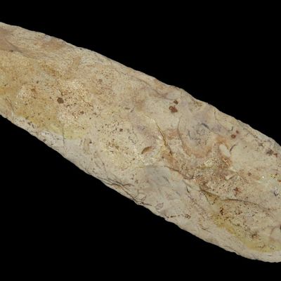 6 1/2" Sedalia Digger Adze, Saline Co., Missouri, Late Archaic, Reported 3,000-6,000 Years Old, Associated with Sedalia and Nebo...