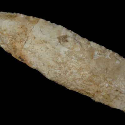 7 7/8" x 2 1/4" Wadlow, Motley & Leithoff COA, Lincoln Co., Missouri