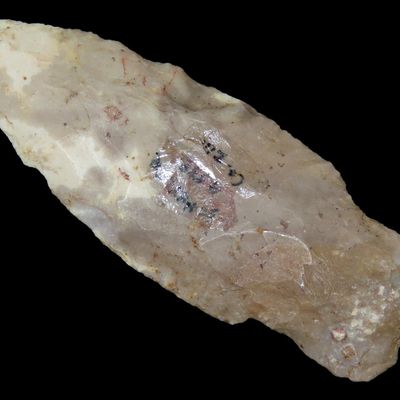 2 7/8" Hardin, Pettis Co., Missouri