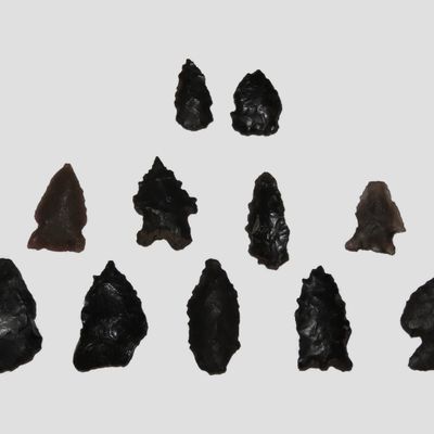 Lot of Miscellaneous Bird Points, New Mexico, Including Cold Springs, Hendricks, and Rose Spring Points