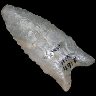 1 2/4" Clovis, American Antiquities COA, Southern Illoinois, Ex. Herb Mangold