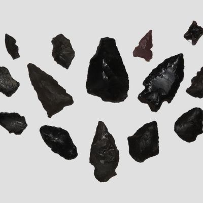 Lot of Miscellaneous Bird Points, New Mexico, Including Cold Springs, Hendricks, and Rose Spring Points
