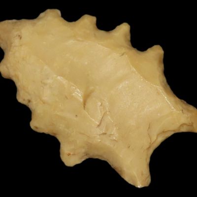 1 1/2" Fluted Eccentric Dalton, Polk Co., Tennessee