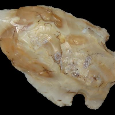 2 1/8" Side Notch, Local Glossy Chert, Clay Co., Arkansas