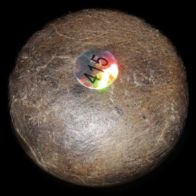 1 5/8" Biscuit Discoidal / Game Piece, Ohio