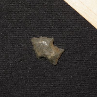 1" Elko Wide Notched, New Mexico