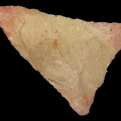 1 3/16" Triangular Bird Point, Henderson Co., Kentucky, Ex. Rocky Hall