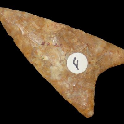3 3/8" Kenny Point, Coryell Co., Texas