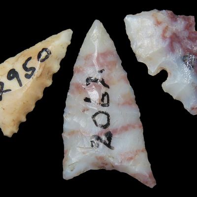 Lot of Fresno and Bird Points, J.J. Currie Ranch, Randall Co., Texas, Palo Duro Canyon, Thomas Draw at Big Falls Sites
