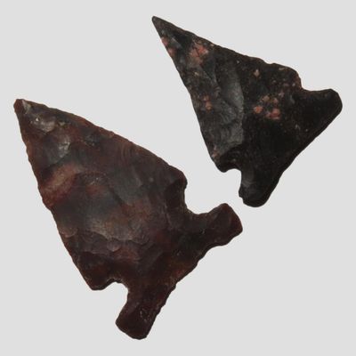 Lot of 2 Points, Durango, Mexico