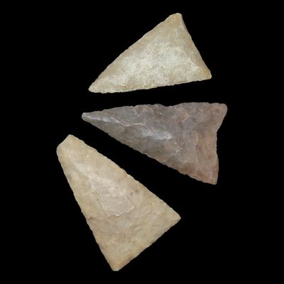 Lot of Triangular Points, Lufkin, Angelina Co., Texas