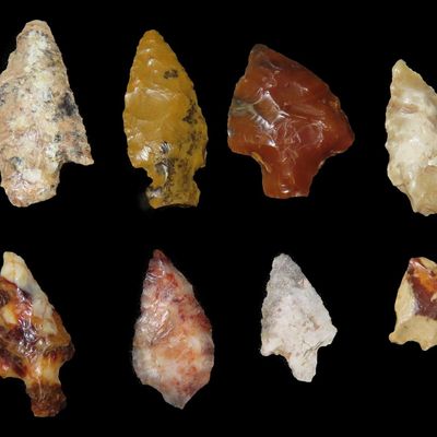 Lot of Bird Points, Petrified Wood and Agate, Whitman Co., Washington