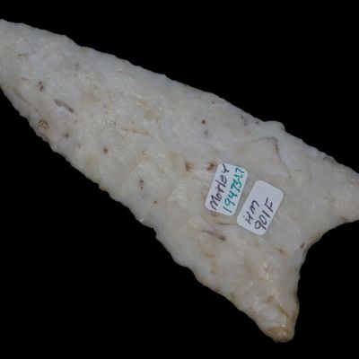 4 3/4" Dalton, Motley COA, Found in Adams Co. IL, Ex Herb Mangold