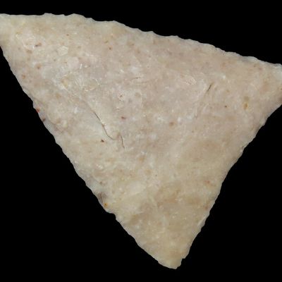 1 1/2" Triangular Point, Webb Co., Texas