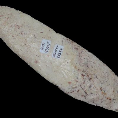 6 3/16" x 1 5/8" Caddo Blade, Motley COA, Arkansas