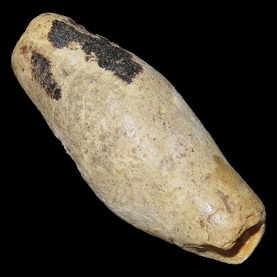1 3/4" Limestone Bead, Brown Co., Illinois