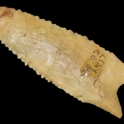 2 15/16" x 15/16" Dalton, Motley & Leithoff COA, Clay Co., Arkansas