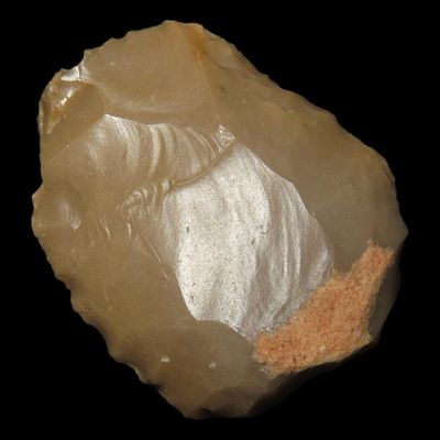 1 3/4" Paleo Thumb Scraper, Found 5 Miles East of Tucumcari, New Mexico