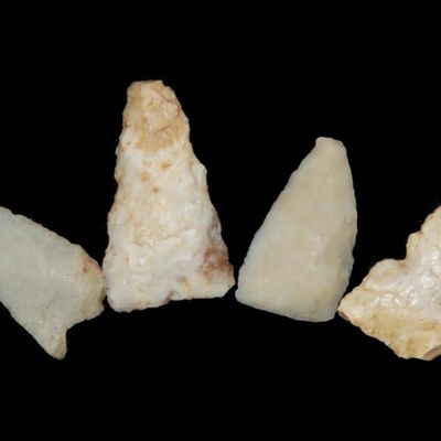 Lot of 4 Bird Points, New Mexico