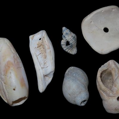 Large Anasazi Shell Beads / Pendants, Arizona / New Mexico
