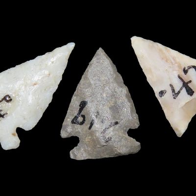 Lot of Fresno and Bird Points, J.J. Currie Ranch, Randall Co., Texas, Palo Duro Canyon, Thomas Draw at Big Falls Sites