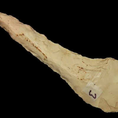 3" Paddle Drill, Burlington Chert, Clay Co., Arkansas
